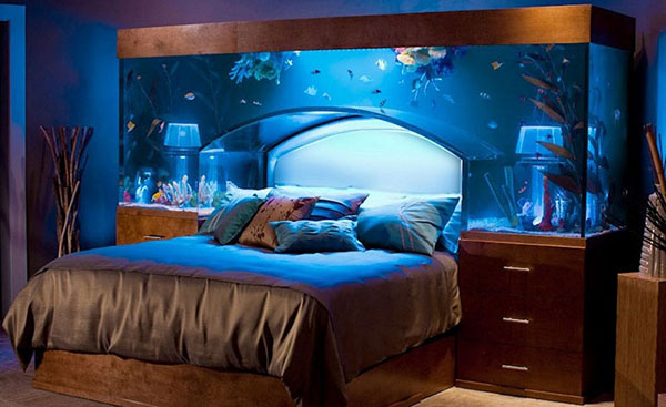 Có nên để bể cá trong phòng ngủ?  Những vấn đề liên quan cần biết